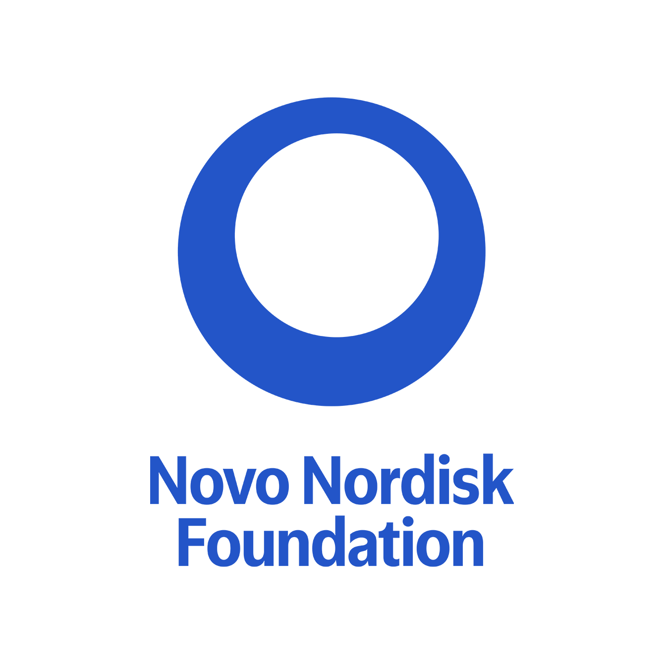 NN Foundation logo