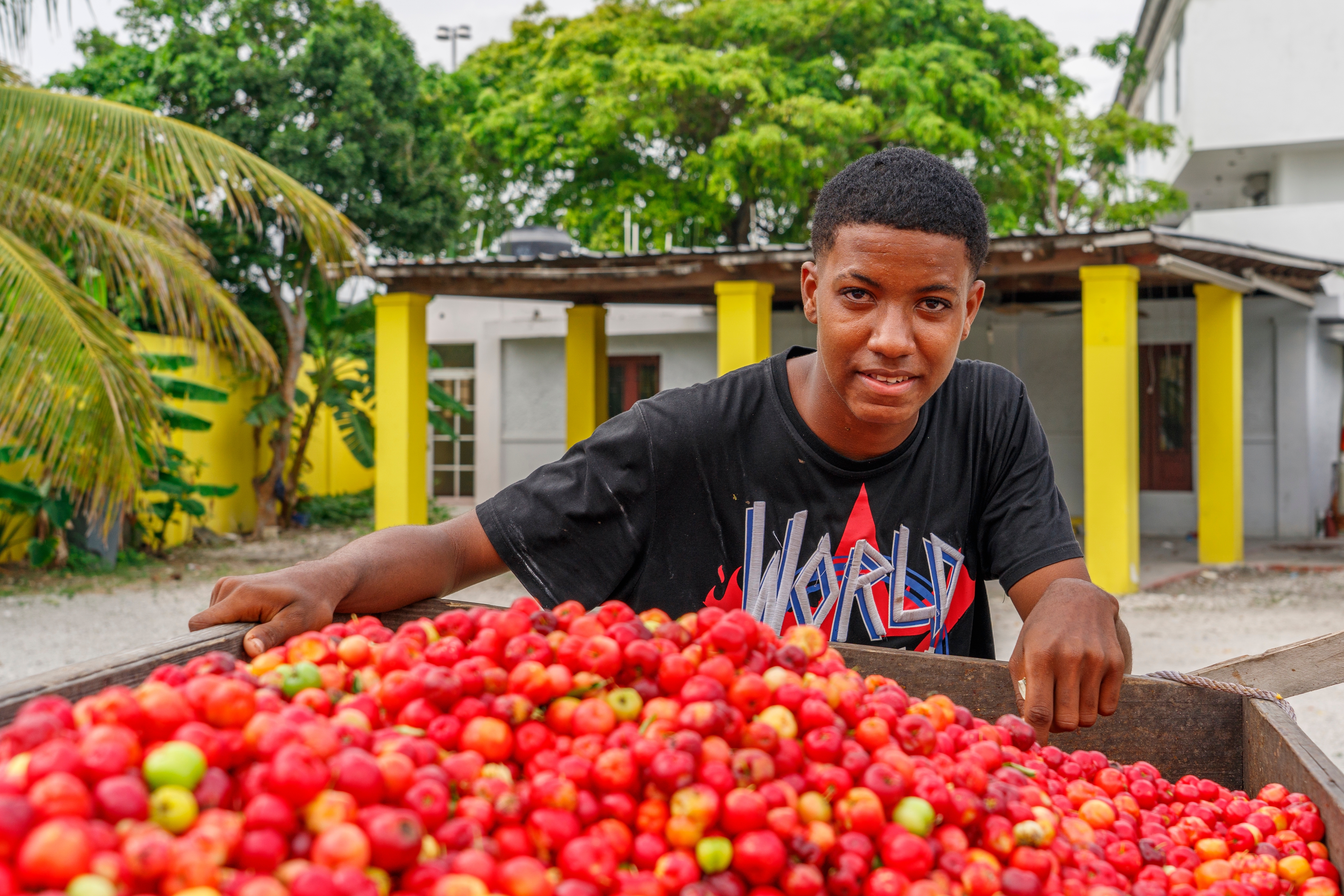 A young guy sells cherries from his garden