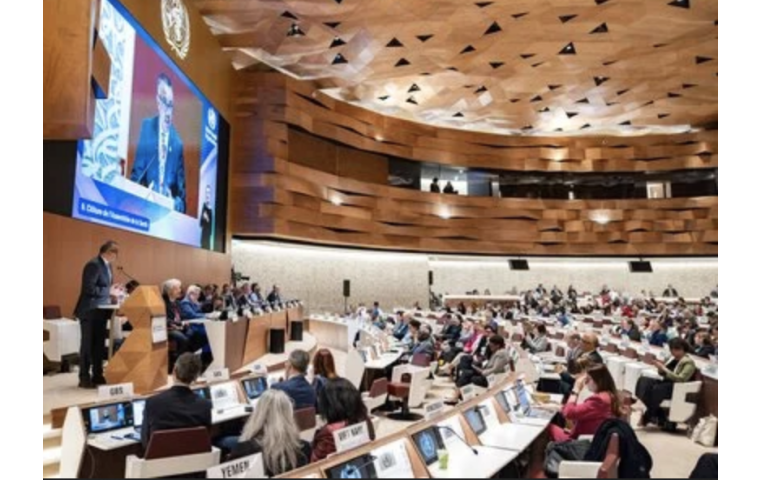 A recent World Health Assembly in action