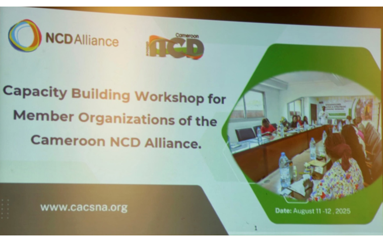 Photo of banner advertising capacity-building workshop