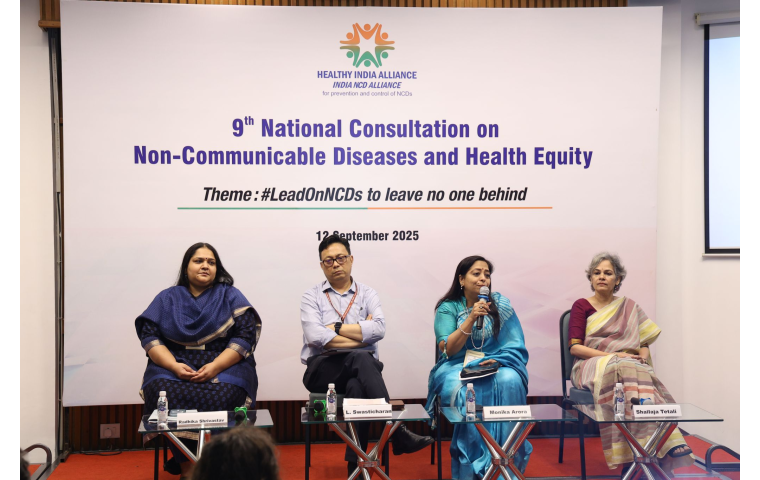 Photo from event, 9th National Consultation on NCDs and Health Equity