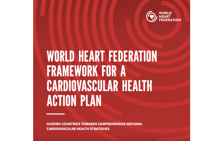 Cover page - Framework for a cardiovascular health action plan