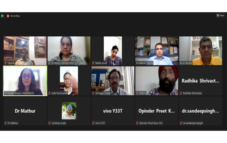 Screenshot of the virtual multi-stakeholder working group on NCDs and UHC meeting