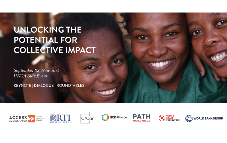 Unlocking the potential for collective impact UN General Assembly event