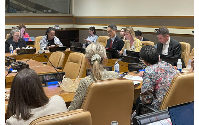 NCD Alliance CEO Katie Dain at the Multi-stakeholder meeting on NCDs in New York, 2 May 2025.