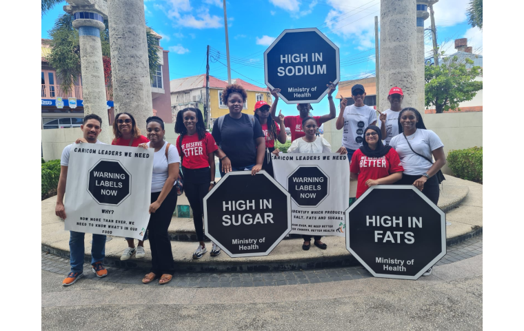 Members of the Barbados Childhood Obesity Prevention Coalition and Healthy Caribbean Coalition