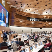 A recent World Health Assembly in action