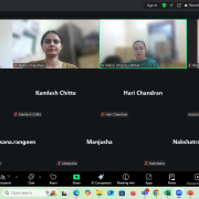 Participants who joined the virtual co-creating meeting