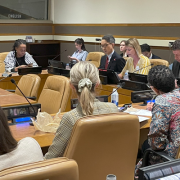 NCD Alliance CEO Katie Dain at the Multi-stakeholder meeting on NCDs in New York, 2 May 2025.