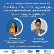 Promotion for webinar From Policy to Practice: Strengthening the Implementation of Healthy Food Policies