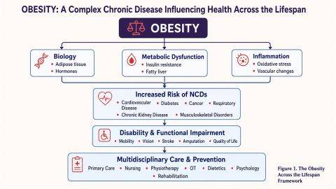 Illustration of obesity, it's causes, consequences and solutions