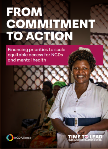 From commitments to action financing brief cover