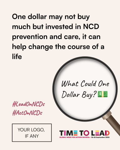 Banner featuring what could one dollar of investment in NCD mean