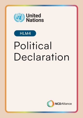 HLM4 Political Declaration cover