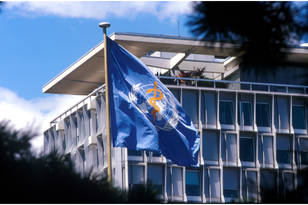 WHO flag