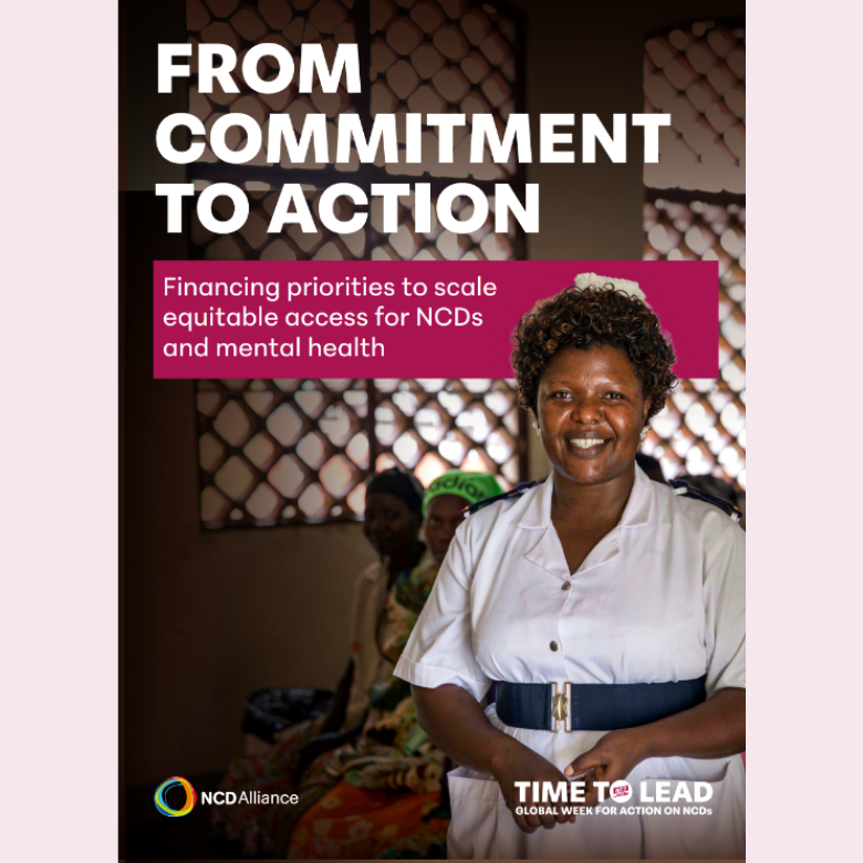 From commitments to action financing brief cover