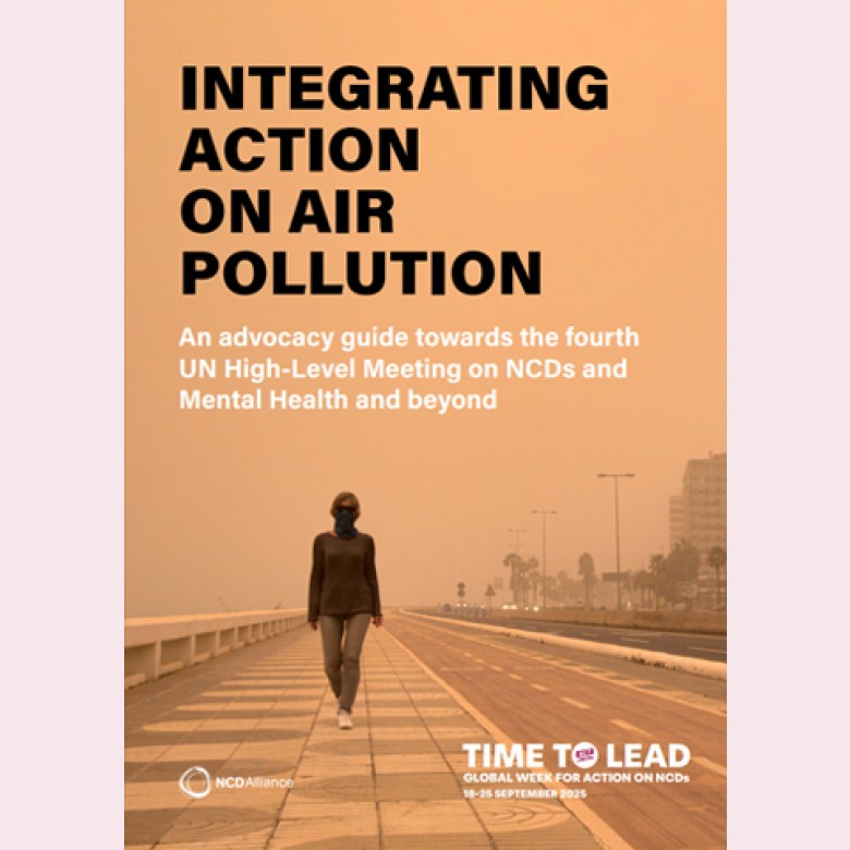 air pollution final report cover