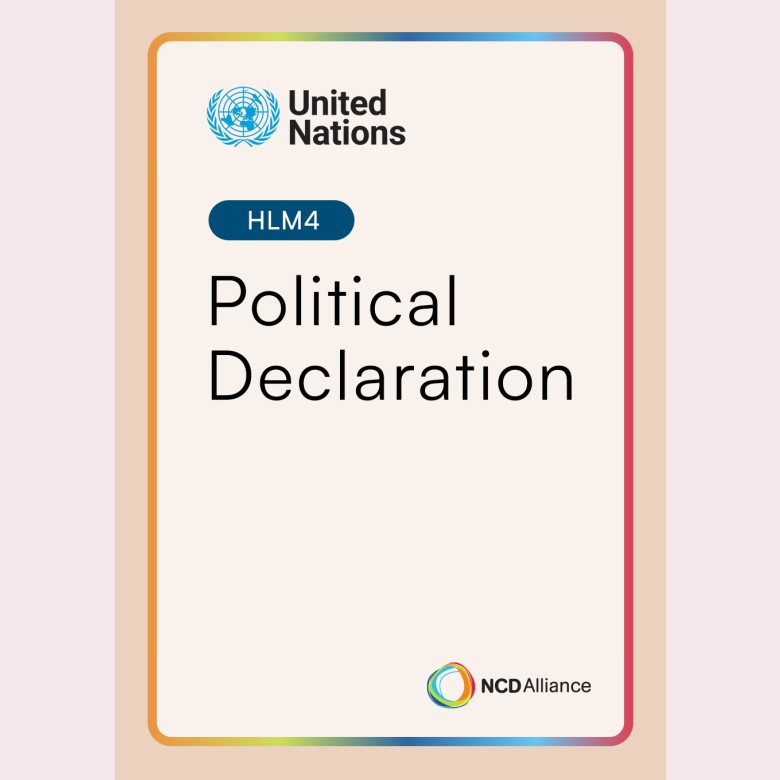 HLM4 Political Declaration cover